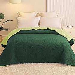 Exclusivo Mezcla Reversible Queen Size Sherpa