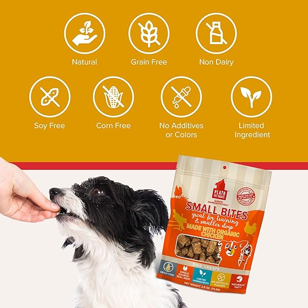 PLATO SMALL BITES NATURAL TRAINING DOG TREATS – REAL MEAT – GRAIN FREE – MADE IN THE USA – ORGANIC CHICKEN FLAVOR, 6 OUNCES