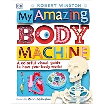 My Amazing Body Machine: A Colorful Visual Guide to How Your Body