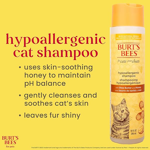 BURT’S BEES FOR PETS HYPOALLERGENIC CAT SHAMPOO WITH SHEA BUTTER AND HONEY, GENTLE KITTEN SHAMPOO FOR INDOOR CATS WITH DRY OR SENSITIVE SKIN, CAT BATHING SUPPLIES, 10 FL OZ