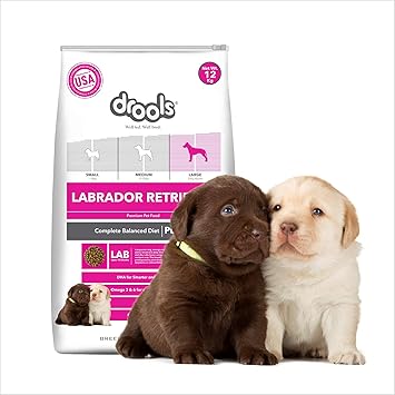 Drools Labrador Puppy Dog Food, 12 kg