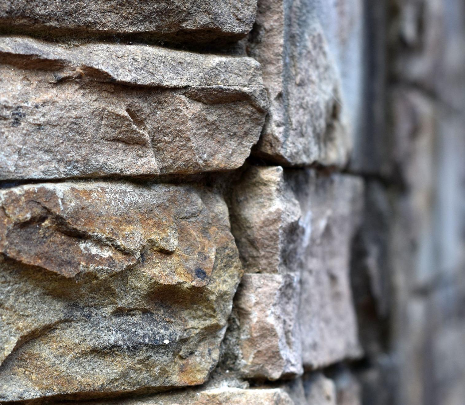 Best "Budget" Prime Lens You'll Find - Absolute Steal for the Price