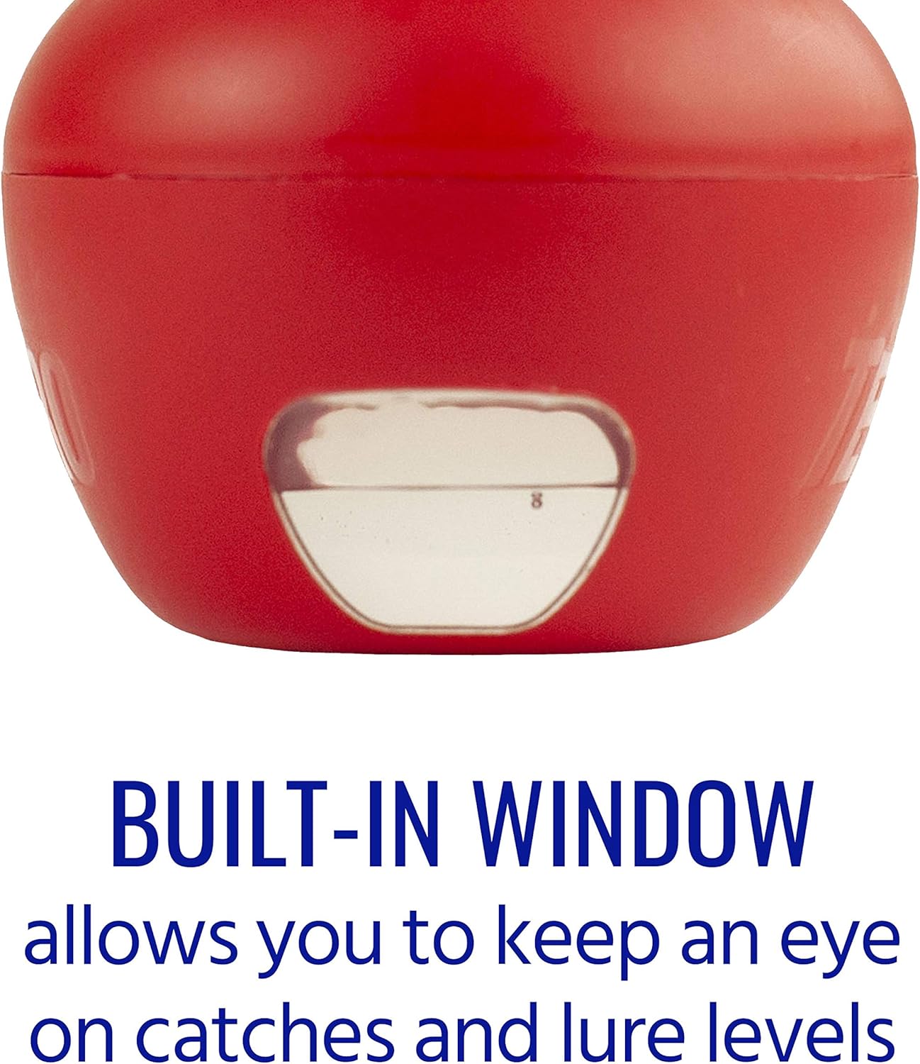 TERRO T2502 Fruit Fly Trap – 2 traps : Garden & Outdoor