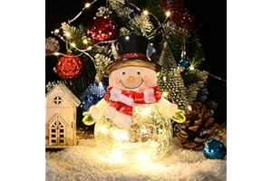 QUELIEN Christmas Decorations Indoor, Crackle Glass with LED Lights Christmas Snowman Home Decor, Christmas Table Decorations Lighted Globes with Timer for Mantel Fireplace Tabletop,Gift for Her,Girls,Women