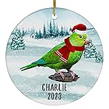 Santa Hat and Scarf Welcome Winter Plain Parakeet