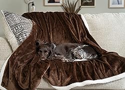 MyPillow Pet Blanket