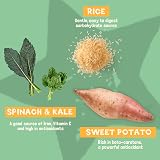 Pawtato Spinach Kale Vegan Dog Sticks 120g Hypoallergenic Low Fat view 5