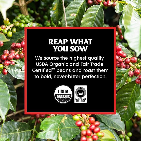 DEATH WISH COFFEE, ORGANIC AND FAIR TRADE DARK ROAST WHOLE BEAN COFFEE, 16 OZ