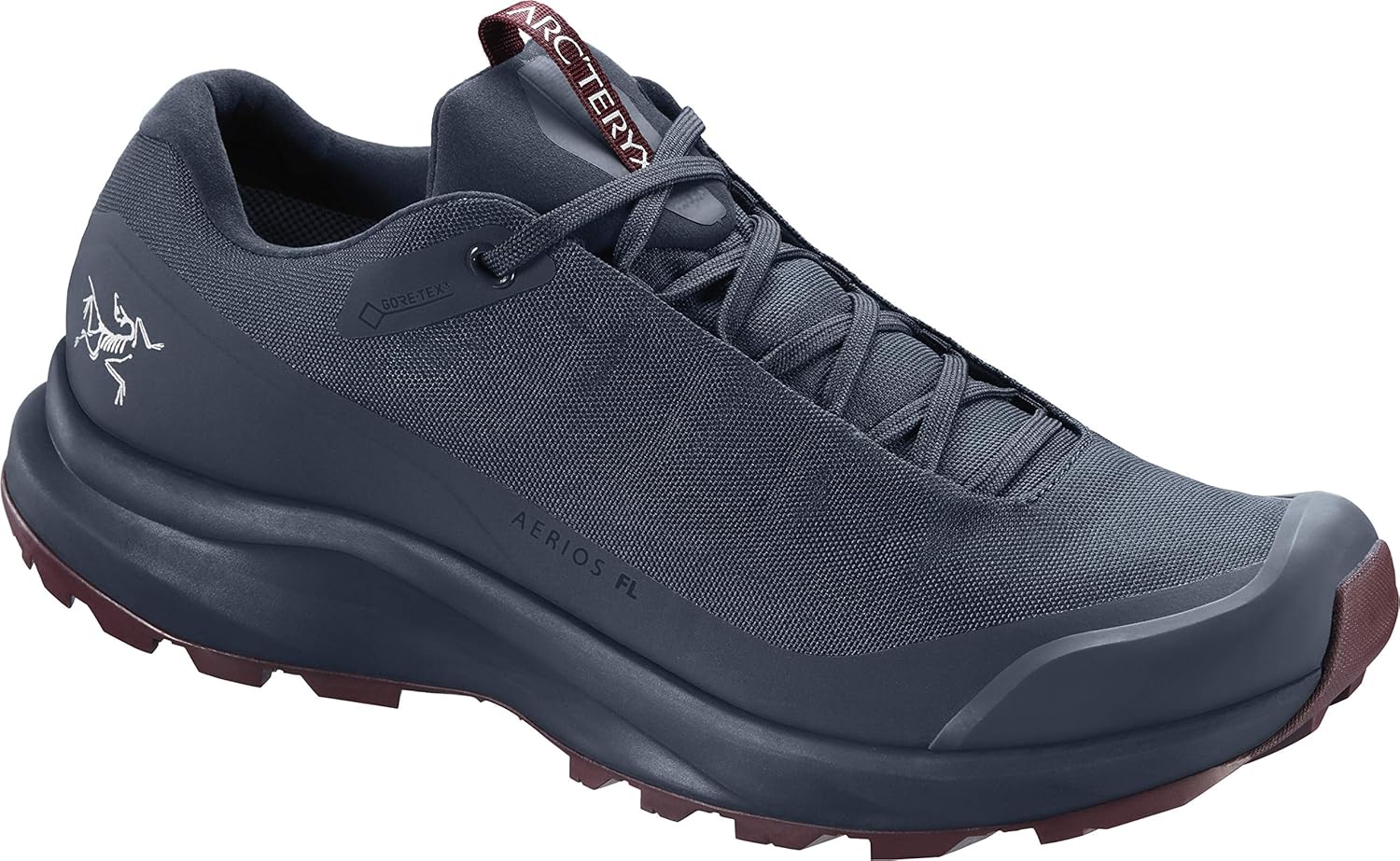 Arc�teryx Aerios FL GTX Shoe Women�s (Exosphere/Rhapsody