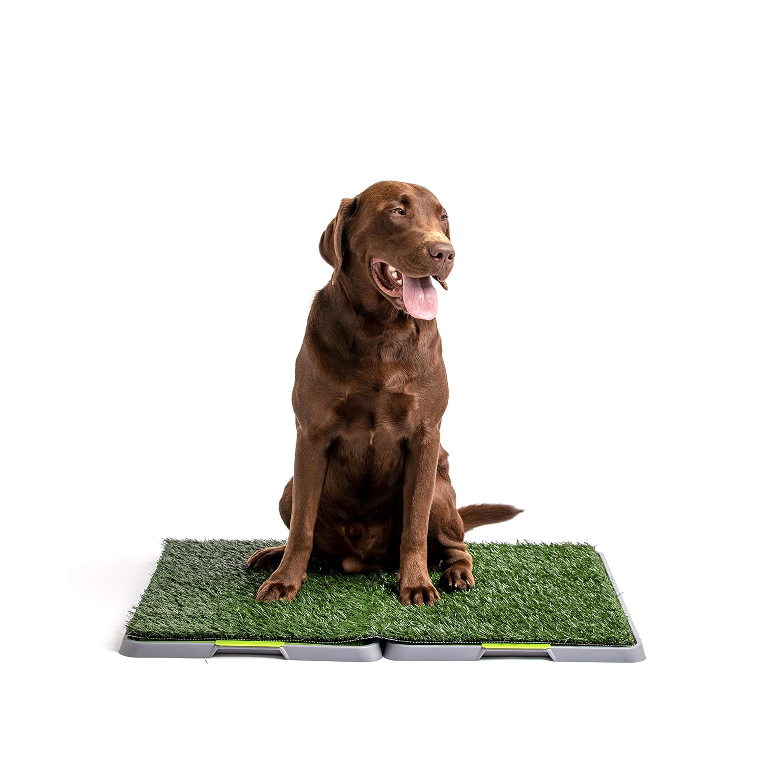 potty patch as seen on tv