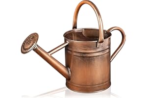 Homarden Metal Watering Can - 81 oz Copper Watering Can with Removable Spout - Galvanized Indoor Watering Can - Bonsai Watering Can for Outdoor - Decorative Small Watering Cans for House Plants