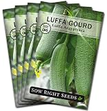 Sow Right Seeds - Luffa Gourd Seed for Planting - Non-GMO Heirloom Packet with Instructions to Plant a Home Vegetable Garden - Grow Your Own Loofah Sponge at Home - Show Off Unique Gourds (4)