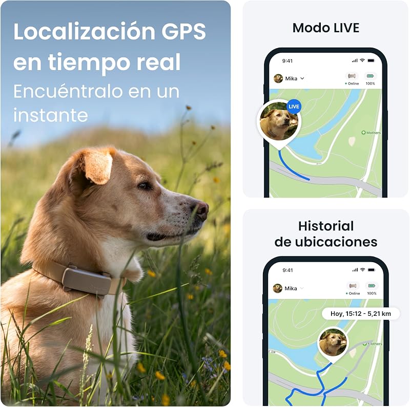 - Cães GPS | Edição 2025 | Nº 1 no mercado | Localização em Tempo Real | Alertas Anti-Fugas | Monitor de Atividade | Alertas de Saúde | Rastreio de Latidos (Castanho)