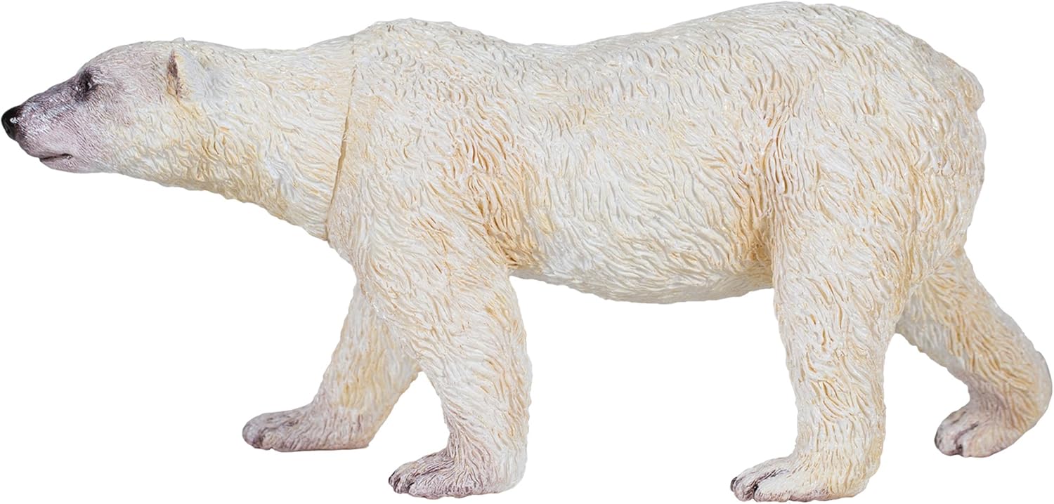 national geographic wildlife wow dinosaurs