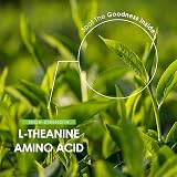ALPHA01 L-Theanine 400mg 90 Vegan Capsules Green Tea Extract view 4