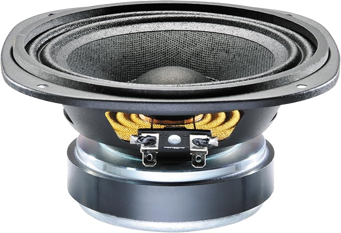 5 inch subwoofer amazon