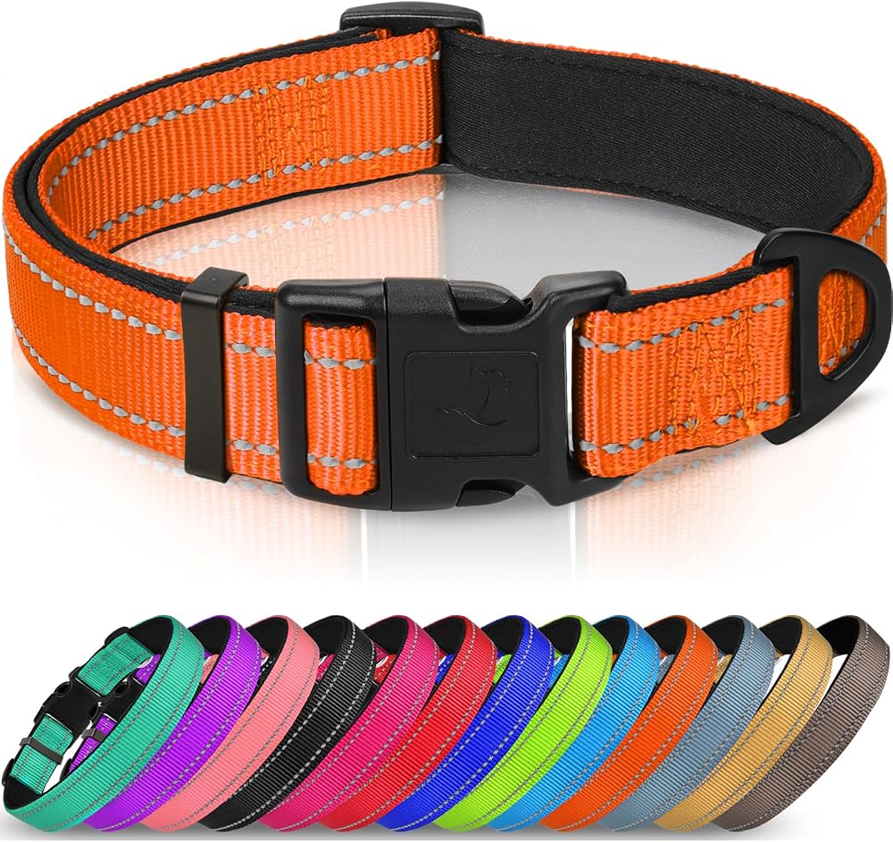 Joytale Reflective Dog Collar Nylon Neoprene Padded Orange Medium