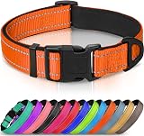 Joytale Reflective Dog Collar Nylon Neoprene Padded Orange Medium