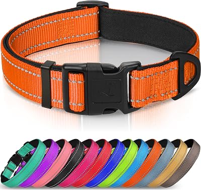 Joytale Reflective Dog Collar XS Orange Soft Neoprene Padded Nylon
