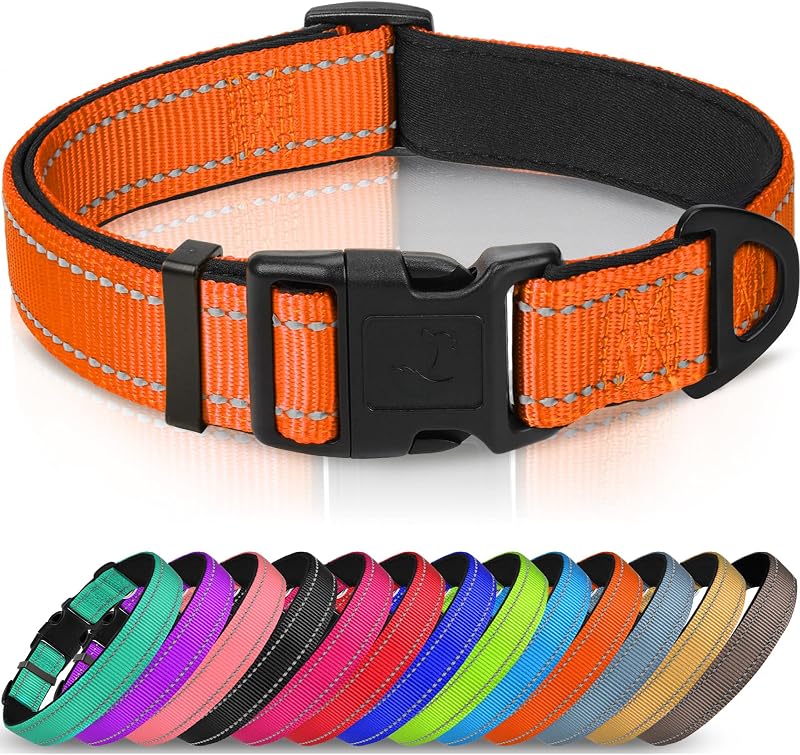 Joytale Reflective Dog Collar Nylon Neoprene Padded Orange Medium