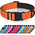 Joytale Dog Collar,Soft Neoprene Padded Breathable Nylon Pet Collar Adjustable for Medium Dogs,Orange,M