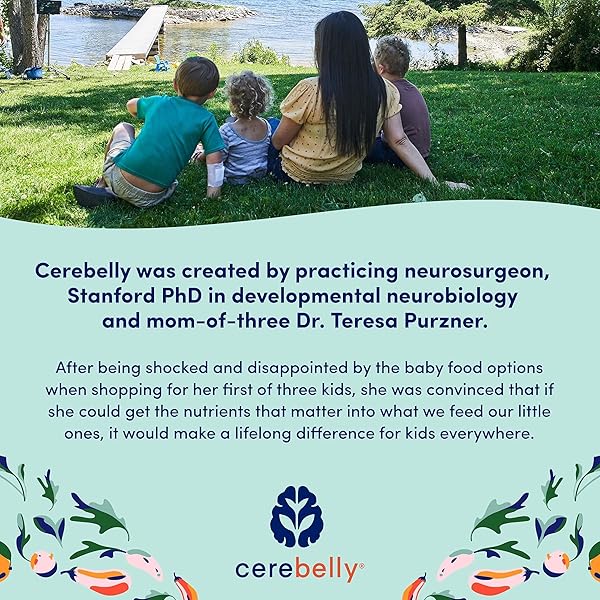 CEREBELLY BABY FOOD POUCHES – ORGANIC VEGGIE PUREES FOR TODDLERS | NO ADDED SUGAR, FIBER, NON-GMO | BLENDED TODDLER POUCHES | 4 OUNCE BPA-FREE POUCH | SPINACH APPLE SWEET POTATO | 6 COUNT