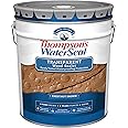 Thompson’s WaterSeal Transparent Waterproofing Wood Stain and Sealer, Chestnut Brown, 5 Gallon