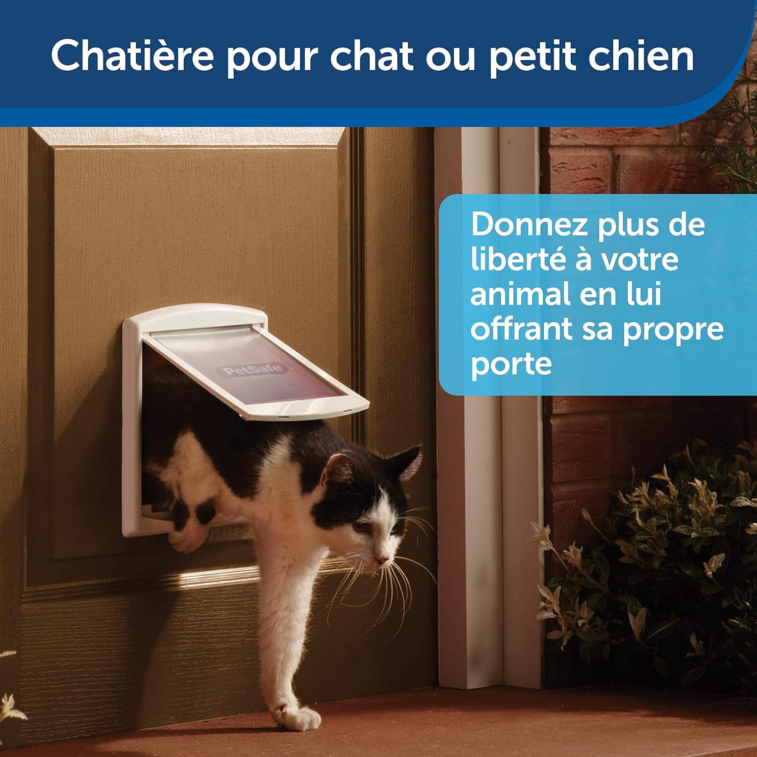 Petsafe Chatiere Pour Chien Et Chat Originale Staywell 2 Voies D Acces Entree Et Sortie Porte Pour Animaux Resistante Rigide Panneau De Fermeture Vendu Separement Blanc S Amazon Fr Animalerie