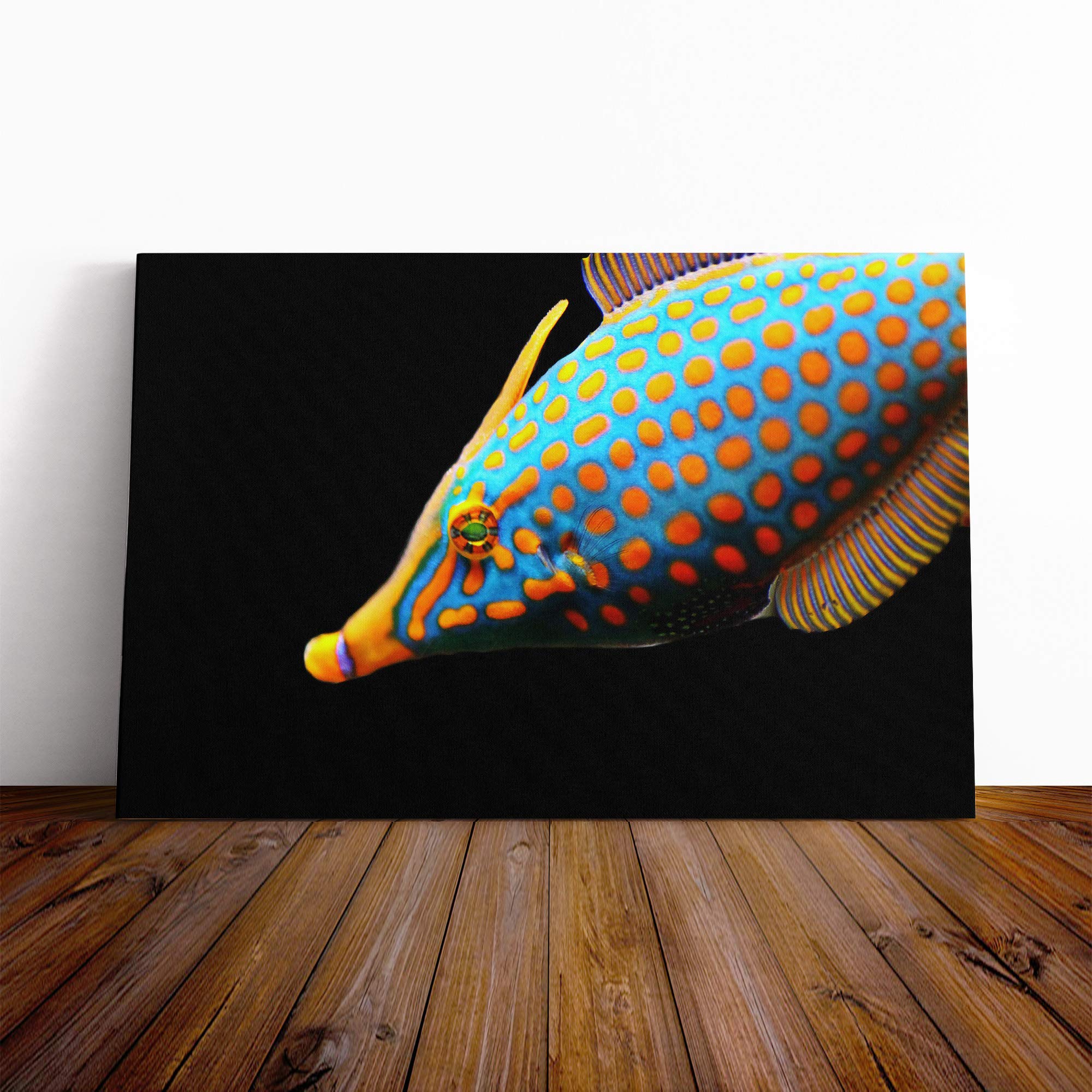 Meeresbehoner Fish Canvas Print | Gallery Wrapped 30mm Frame Wall Art | 20x14 inches | Ready to Hang | Modern Animals Picture | Living Room Bedroom Lounge Office