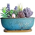 ARTKETTY Succulent Pots, 7.9" Rectangle Succulent Planters with Drainage Tray, Shallow Planters for Indoor Plants Ceramic Cactus Pots Bonsai Flower Plant Container for Home Windowsill Decor