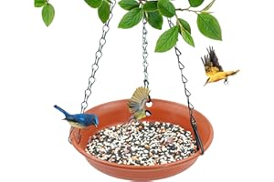 VUWEZ Hanging Bird Feeder with Hole, Platform Flat Bird Seed Tray for Outdoors, Cardinal, Blue Jay, Crow, Birdfeeders Outside Hanging, Wild Small Large Bowl Feeders for Garden (8", Terracotta)