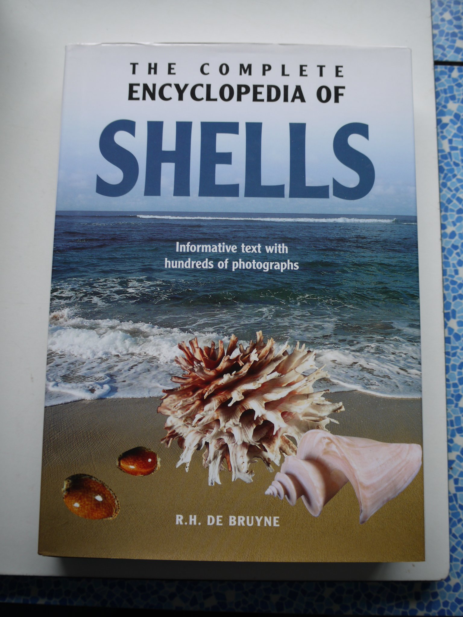 The Complete Encyclopedia Of Shells R H De Bruyne Amazon - 