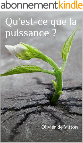 Download Qu'est-ce que la puissance ? PDF