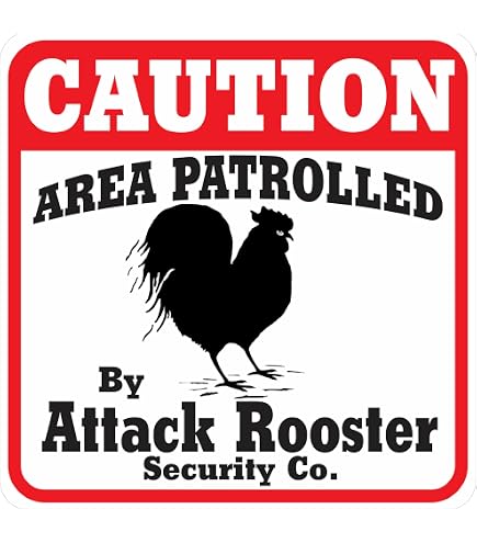 Amazon.com: Beware Chicken Metal Sign,Warning Property is