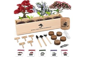 Sproutix Indoor Bonsai Garden Starter Kit, 5 Seeds Growing into Red Maple, Wisteria, Black Pine, Judas Tree, Acacia, Including Complete Gardening Planters & A Wooden Box, Christmas Gifts for Women
