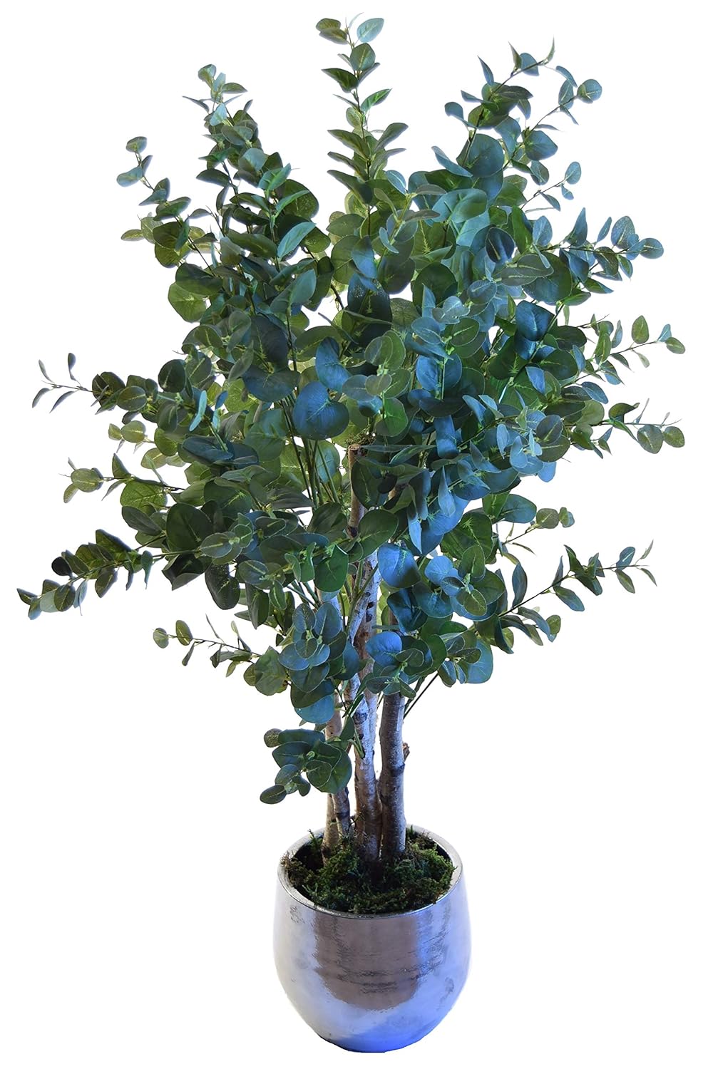 Eucalyptus Artificiel avec Tronc Naturel, Idéal pour la décoration de la Maison, Matériaux de