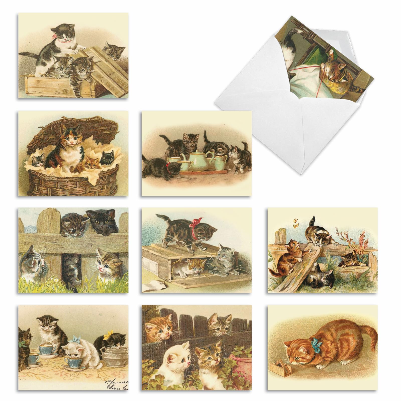 Set of 10 Thank You Note Cards 4 x 5.12 inch with White Envelopes - ‘Cutey Cats' Greeting Cards Featuring Cute Kittens and Cats Playing - Appreciation Notecards M1732TY