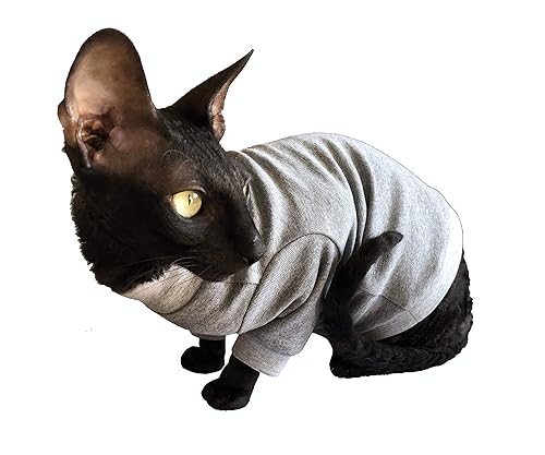 Kotomoda CAT WEAR Cotton Sweater Home Sweet Home (M) in Oman