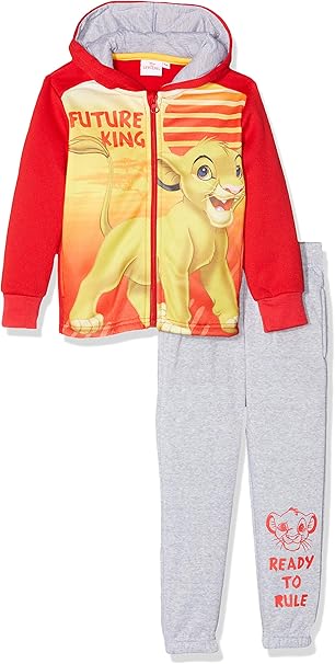 lion king baby jumper