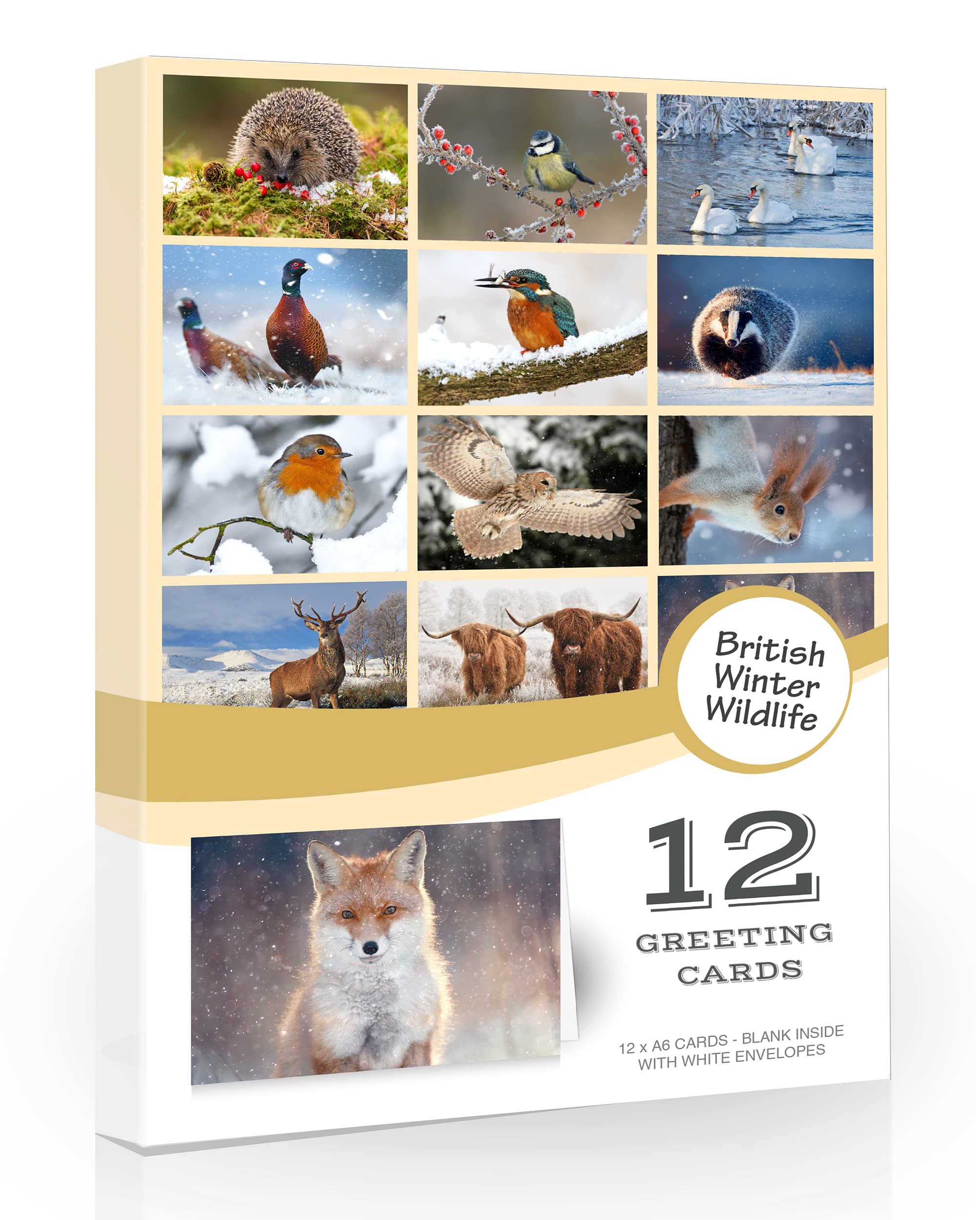 12 x British Winter Wildlife Folding Greeting Cards with Envelopes. Winter UK Countryside Collection. Blank Inside for All Occasions