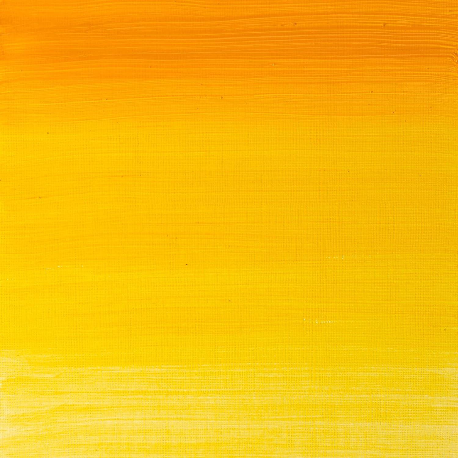 Winsor & Newton Griffin 37ml Alkyd Fast Drying Oil Colour Tube - Indian Yellow, 37 ml (Pack of 1) - Image 3