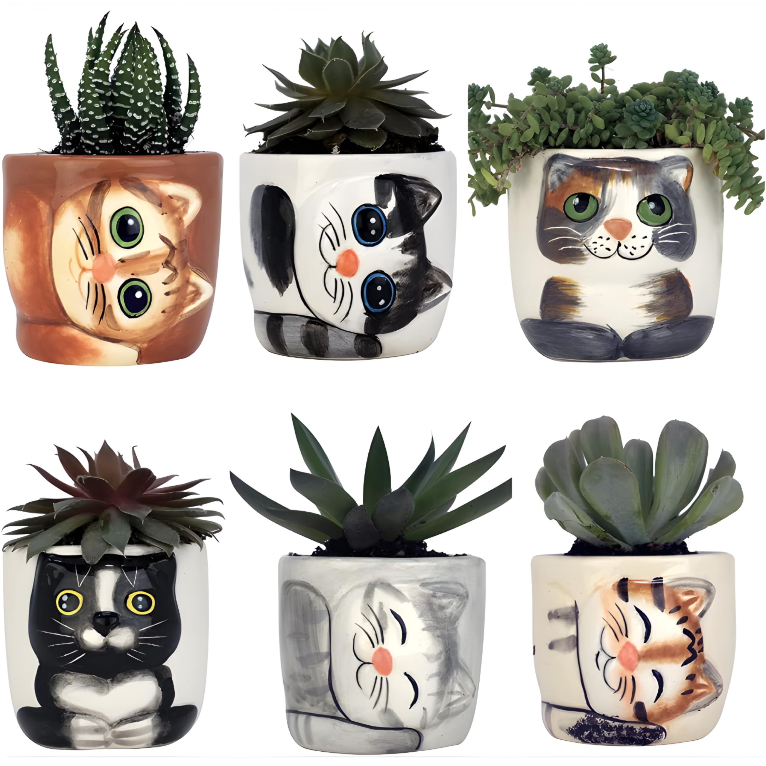 Photo 1 of Window Garden Cute Cat Planter Pot - 6 Mini 3" Succulent Kitty Pots - Cute Flower Pots for Indoor Plants - Cactus, Herb Decor Vase - Unique Gifts