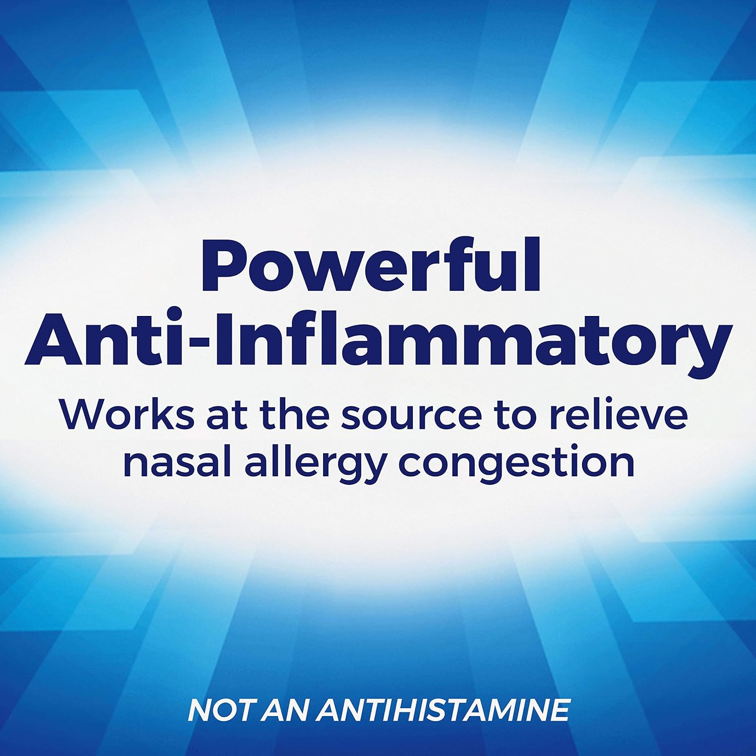 Nasacort Allergy 24HR Nasal Spray for Adults, Non-Drowsy & Alcohol-Free, 120 Sprays, 0.57 fl. oz. 2pk: Health & Personal Care