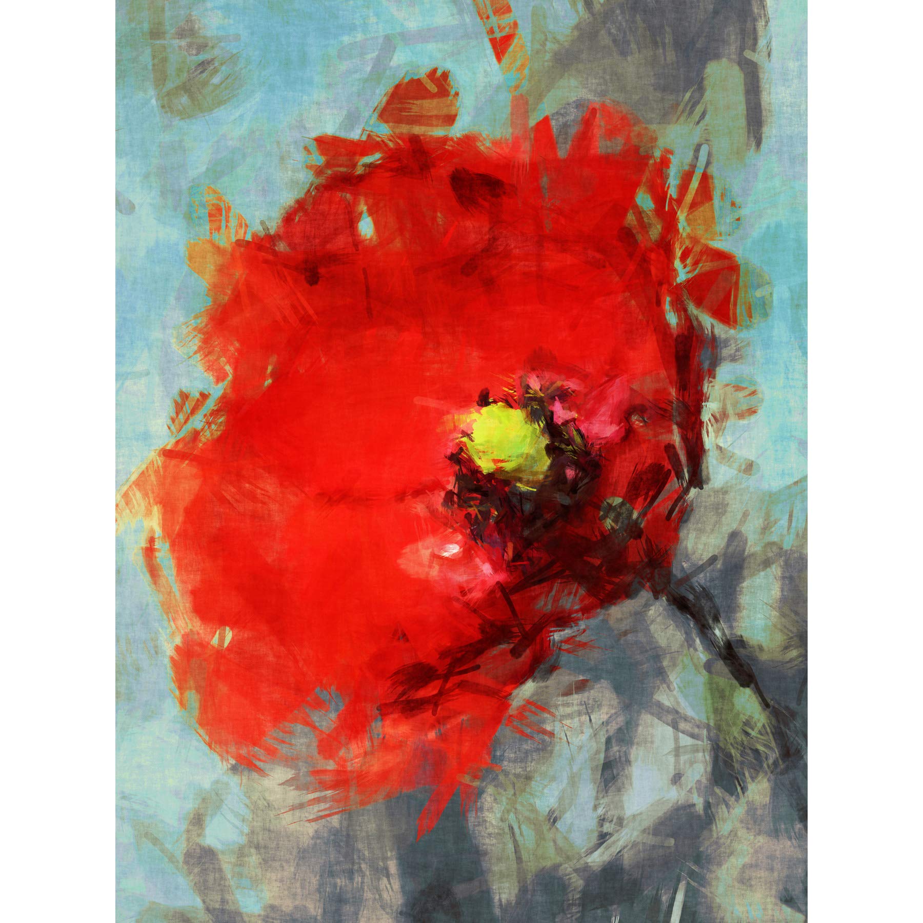 Bright Poppy Sketch Painting Large Wall Art Print Canvas Premium Poster