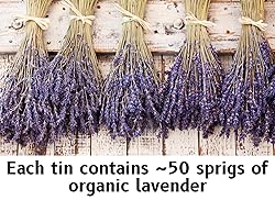 Organic Lavender Cocktail Picks - 50 Aromatic