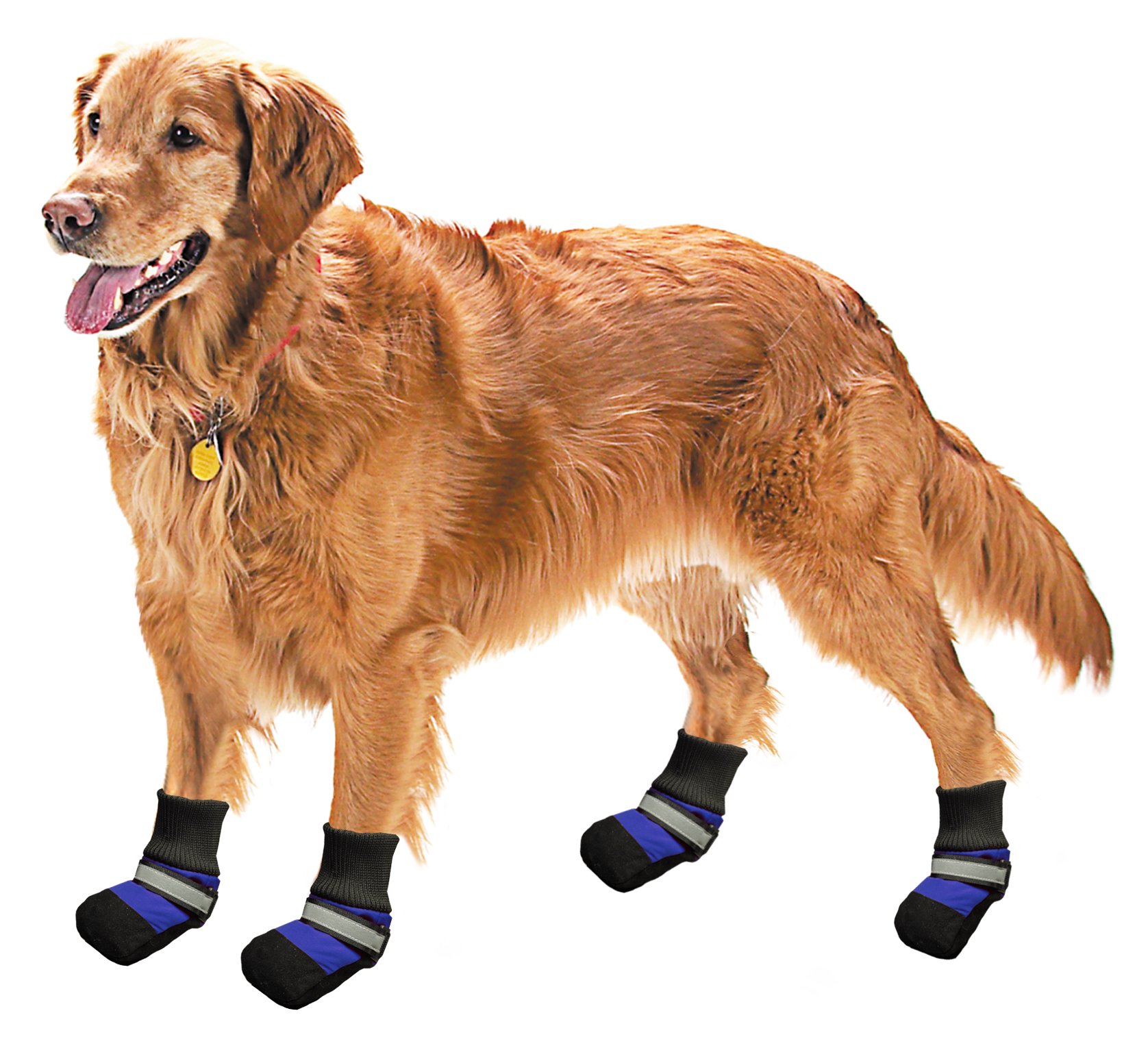 Pistachio Pet - Dog Rain Boot With Non-Slip Soles (Black/Blue, XXXS)