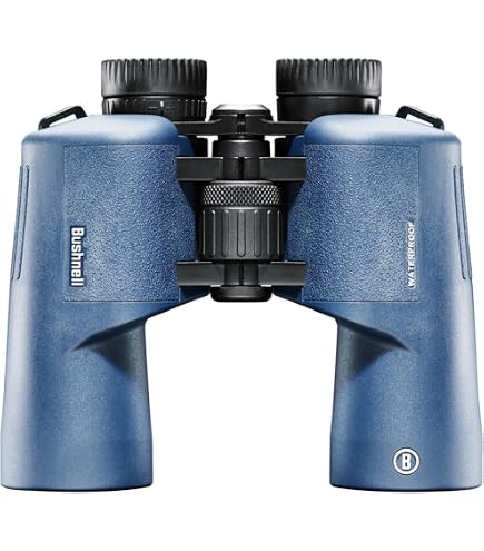 Amazon.com: Vixen Ascot 8 to 32x50 CF Zoom Binoculars 1565