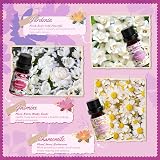 SALKIN Essential Oils Set 6 x 10 ml Lavender Rose Jasmine Cherry Blossom view 4