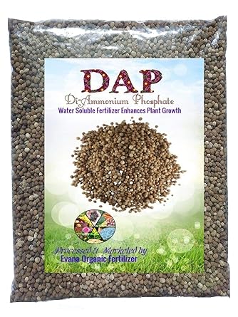 Evana Organic Fertilizer All Purpose DAP fertilizers for Home Plants & Gardening Purpose | Plant Nutrient & Plant Food | 100% Water Soluble (900 gm)