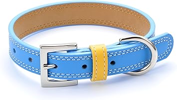 Amazon 犬 首輪 犬の首輪 小型犬 中型犬用 革 おしゃれ ブルー No 3 Sサイズ 犬の首輪屋てるべる ベーシック首輪 通販